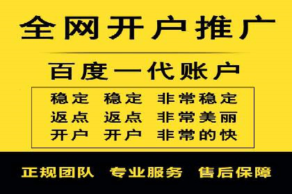 成功案例解析：SEO与SEM协同营销策略